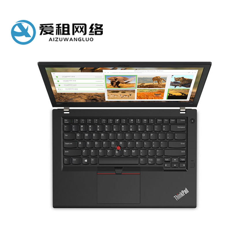 全向麦克风出租